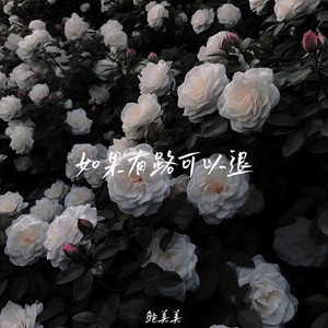 鲍美美 - 如果有路可以退
