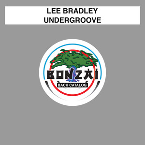 Undergroove (Original Mix)