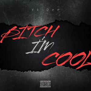 ***** I'm Cool (Explicit)