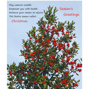 Christmas Reflection