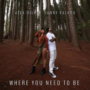 Where You Need To Be (feat. Sunny Kalama, Vince Esquire & Don Lopez)