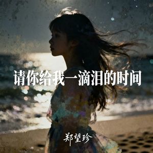 郑望珍 - 请你给我一滴泪的时间