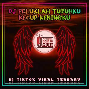 DJ PELUKLAH TUBUHKU KECUP KENINGKU - DJ AYANG VIRAL TIK TOK (REMIX VERSION)