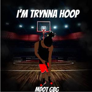 Im Trynna Hoop (Explicit)