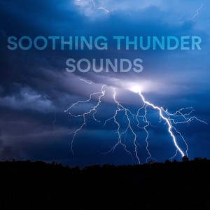 Nature Sounds of Heavy Rain