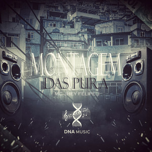 Montagem das Pura