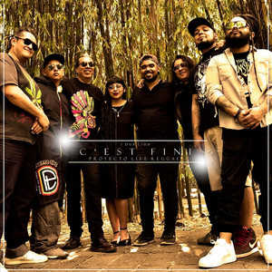 C'est Fini 2025 (Radio Edit)