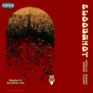 Bloodshot (Explicit)