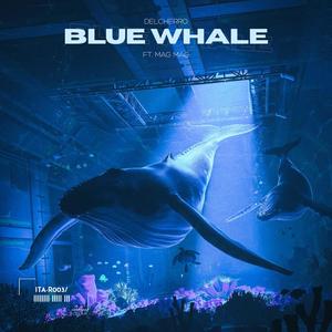 Blue Whale