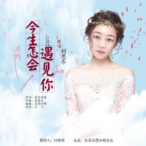 今生怎会遇见你 (DJ版)