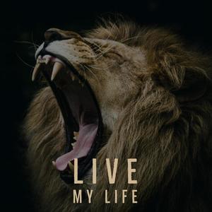 Live My Life (Explicit)