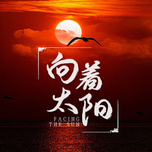 向着太阳