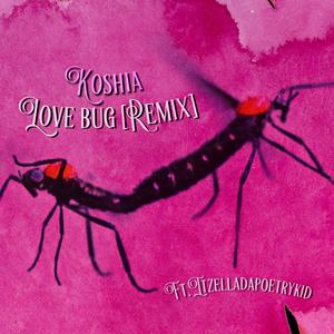 Love bug (feat. Itzelladapoetrykidd) [Explicit]