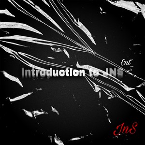 Introduction to Jns