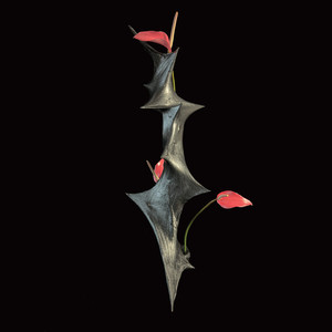 Visage (feat. Kalia Vandever)