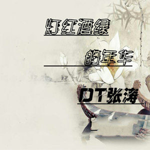 灯红酒绿的年华