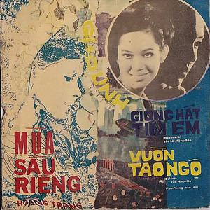 Giọng Hát Tìm Em