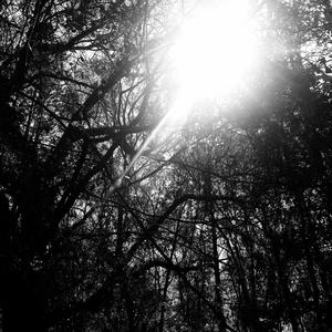 An All Consuming Thunder