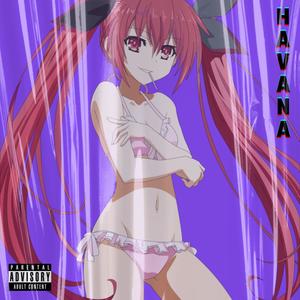 Havana(feat. Nizarh) (Explicit)