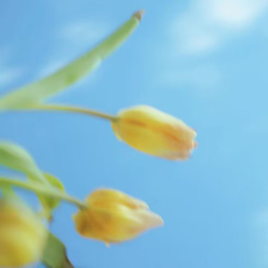 深深的蓝 - 早春的清泉 (安睡白噪音轻音乐)