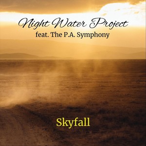 Skyfall(feat. The P.A. Symphony)