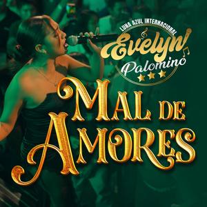 Mix Mal De Amores: Mal De Amores/Tu Falso Amor