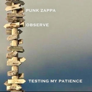 Testing My Patience (feat. Observe) (Explicit)