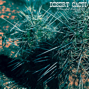 Desert Cacti: Peaceful Energy V3