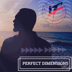 Perfect Dimensions (feat. IRS) [Explicit]