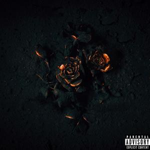 Really!!! (Explicit)