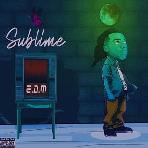 Sublime E.D.M. (Lost Side Edition) [Explicit]