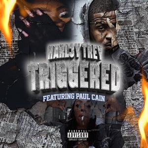 TRIGGERED (feat. Paul Cain) (Explicit)