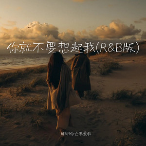 你就不要想起我 (R&B版)