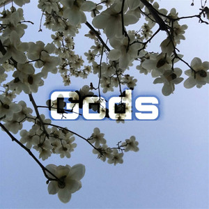 InMyFeelings (Skies Remix)