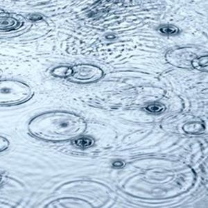 薇澜 - 雨声陪伴助入眠  丛林雨声