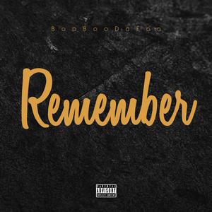 Remember (Freestyle) (Explicit)