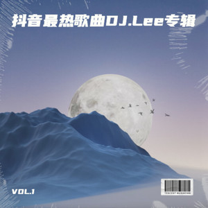 心墙 (DJ版)封面