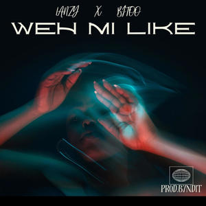 Weh Mi Like (feat. Lanzz)