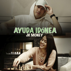 Ayuda Idónea