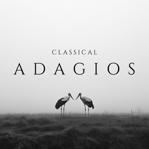 Classical Adagios - Symphony No. 92 in G Major 