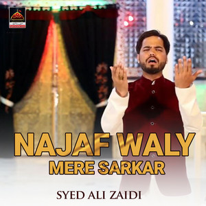 Najaf Waly Mere Sarkar