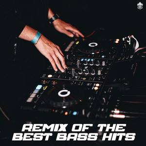 Remix of the Best Bass Hits