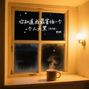 你知道我最害怕一个人天黑 (男声版)