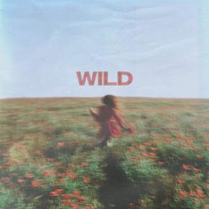 Wild (feat. Samuel Morgan & gio.)