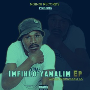 Zishelwa Ngemali (Explicit)