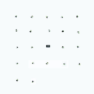 Let Bebongs Be Bebongs, Idiot