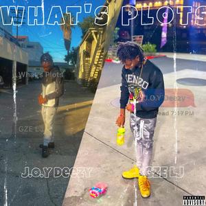 What's Plots (feat. GZE LJ)