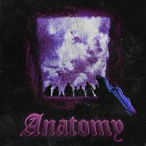 Anatomy (Explicit)