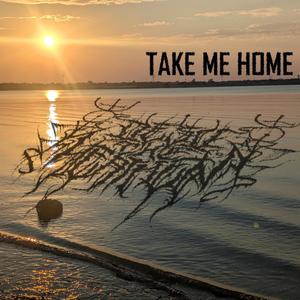 TAKE ME HOME (Explicit)