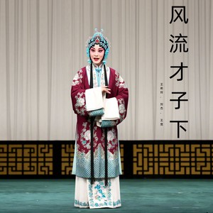 风流才子下 (豫剧)